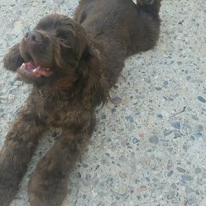 Meet your Posher, Rachel